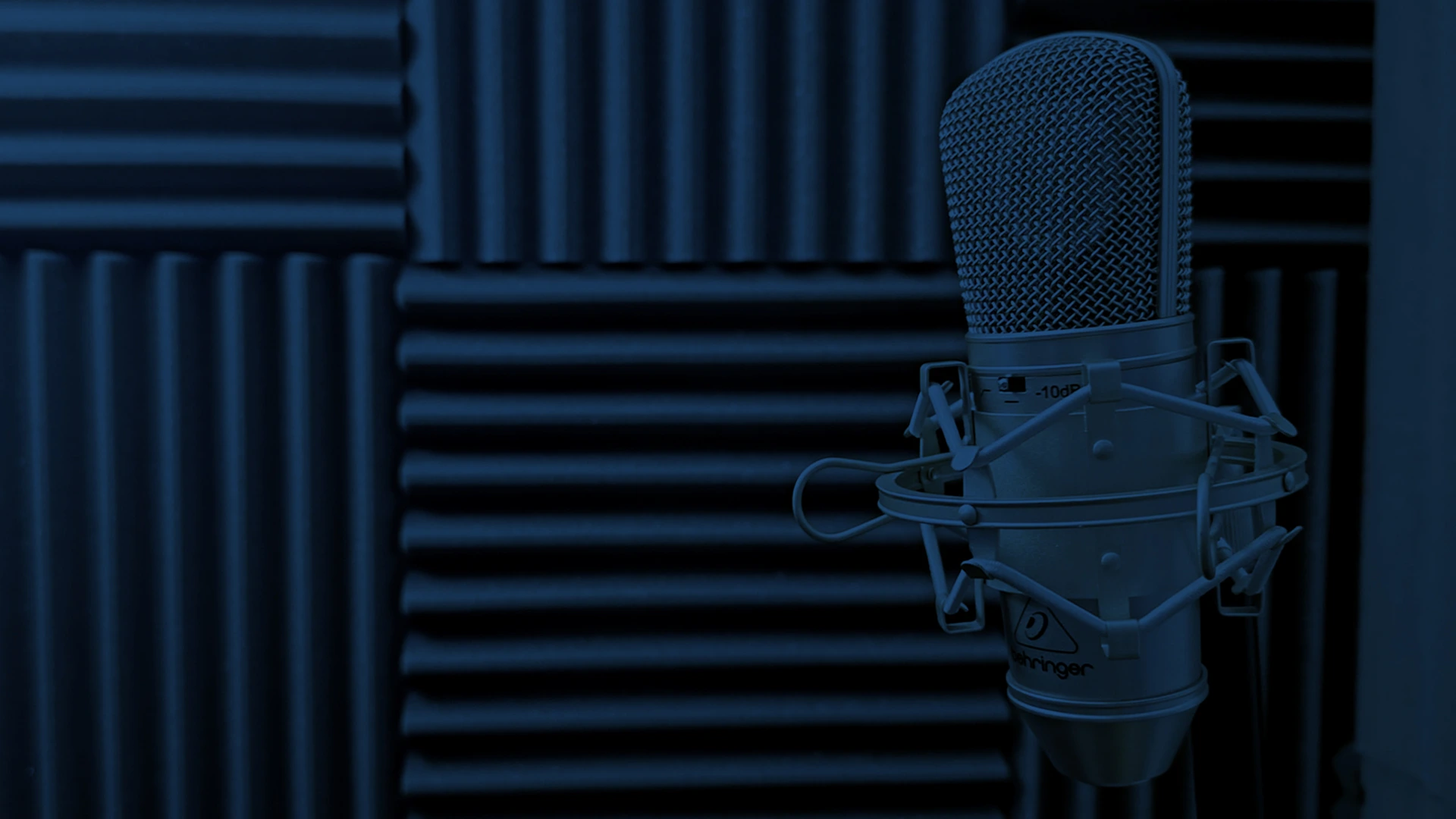 Student speaking to the microphone 2